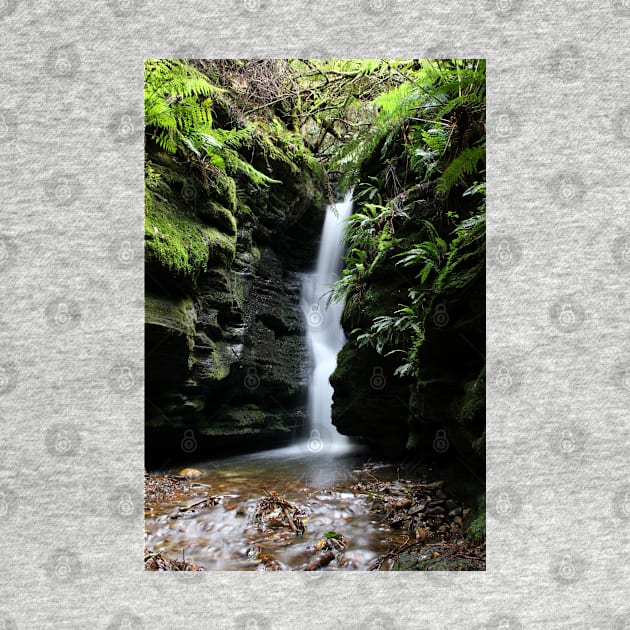 Secret Falls, Tasmania, Australia by Kirkcov